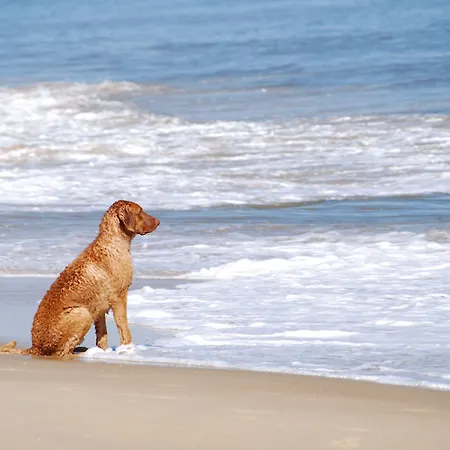 Lieblingsplatz Strandperle 吕贝克