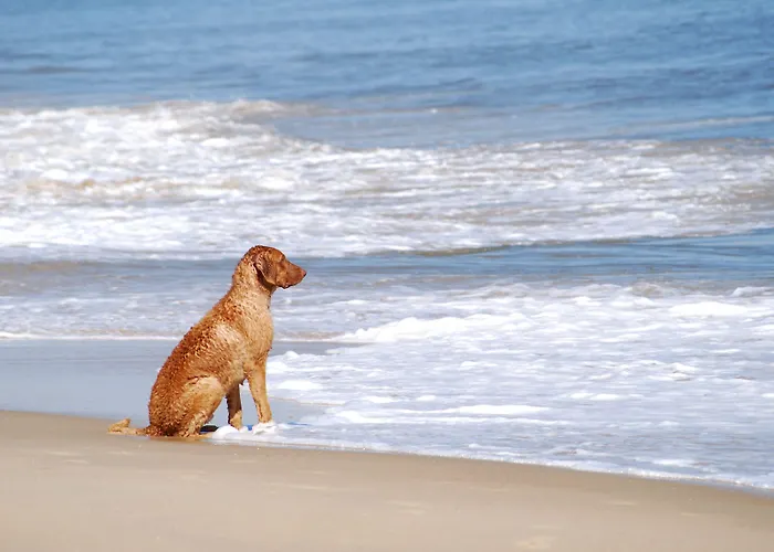 Strandperle Lieblingsplatz Lübeck