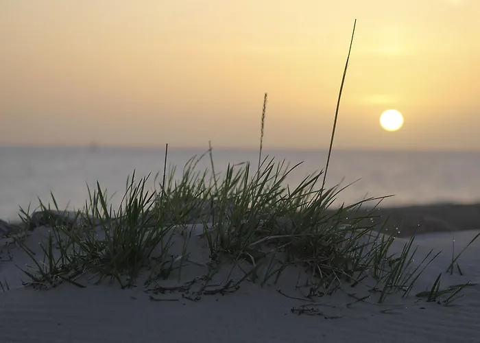 Hotel Strandperle Lieblingsplatz Lübeck